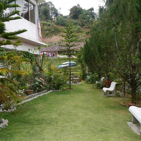 Krs Pines Hotel Cameron Highlands Exterior photo