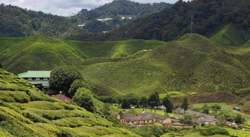 Krs Pines Hotel Cameron Highlands Exterior photo