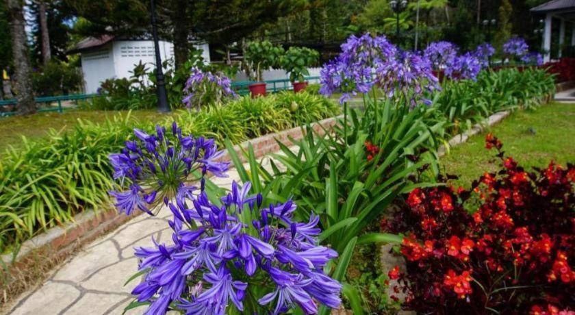 Krs Pines Hotel Cameron Highlands Exterior photo